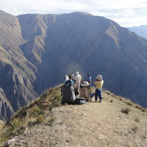 Chonta-Cañon-del-Condor-Cusco-1