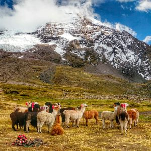 Montaña-de-7-Colores-3