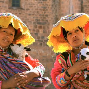 city-tour-cusco-llama
